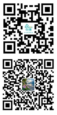 QR коды